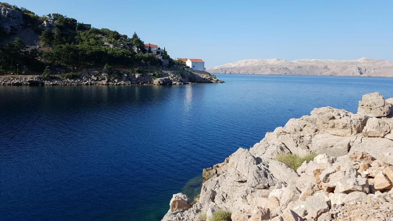 Apartman Stefan كارلوباغ المظهر الخارجي الصورة